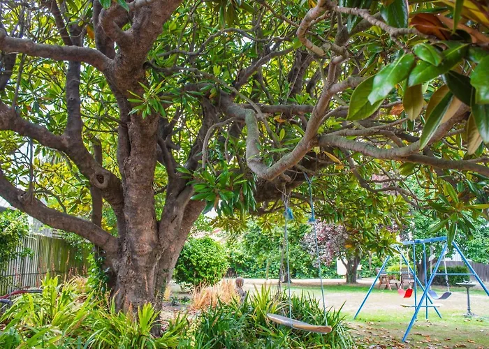 Bed and Breakfast in Christchurch