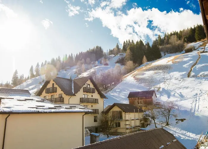 Guest Houses in Moeciu De Sus